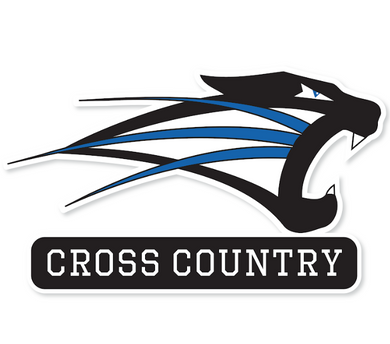 USF Cross Country Decal - M16