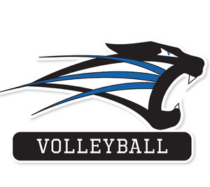 USF Volleyball Decal - M12